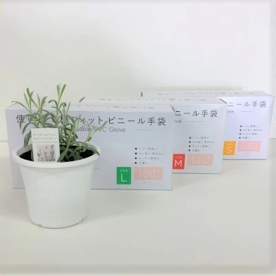 一次性塑膠手套 1箱（100入）